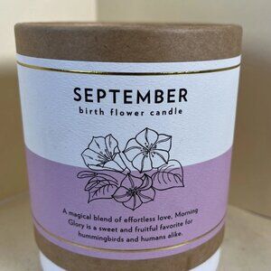 Scripted Fragrance Soy Candle — September Birthday Morning Glory 8 oz NEW